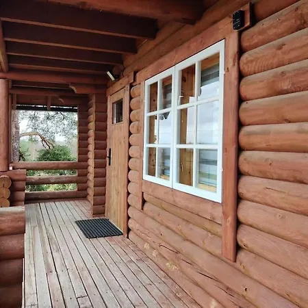 Next To Disc Golf. Tapa