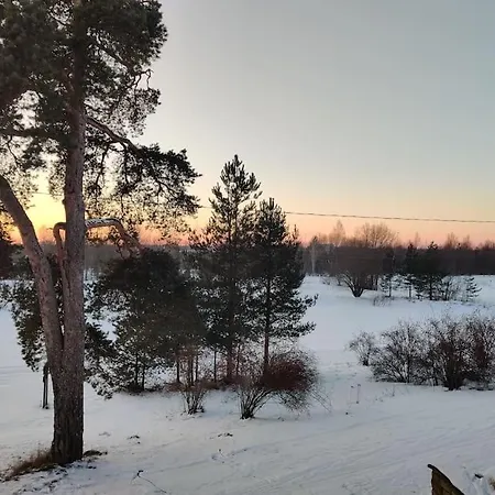 Vikendica Next To Disc Golf. Tapa