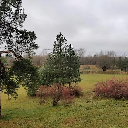 Next To Disc Golf. * Tapa