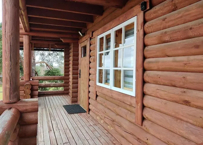 Next To Disc Golf. Tapa