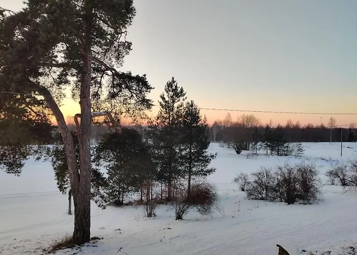 Semesterbostad Next To Disc Golf. Tapa