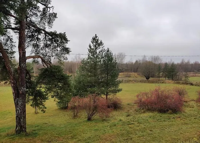 Next To Disc Golf. * Tapa