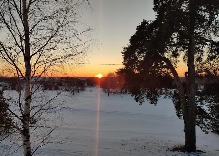 Tatil Evi Next To Disc Golf. *