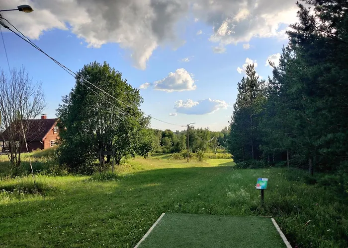 Next To Disc Golf. *